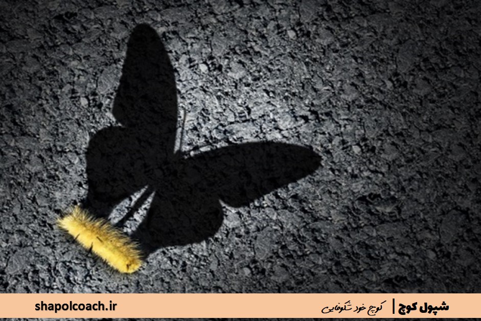 کوچ خود شکوفایی