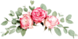 flowers-slider-txt-element.jpg.png